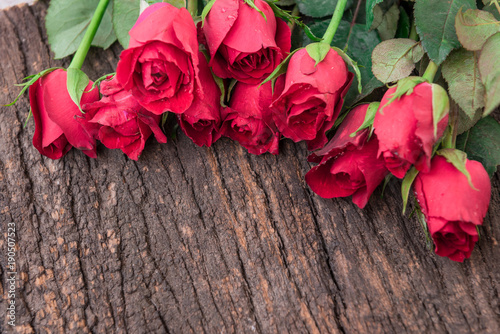 Fototapeta Naklejka Na Ścianę i Meble -  Red roses on wooden board with copy space