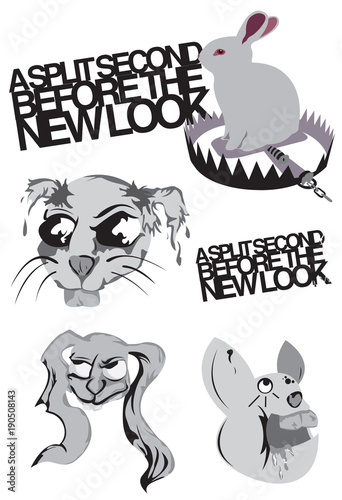 New Look Rabbit