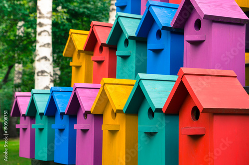 Slika na platnu Colorful houses for birds.