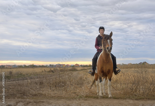 Happy teenager boy with horse © icarmen13