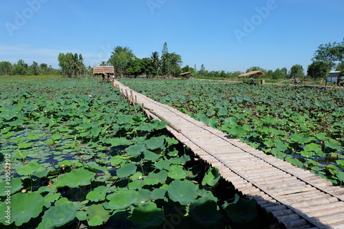 death railway bridge Tham krasae photo