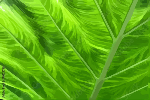 green leaf texture background