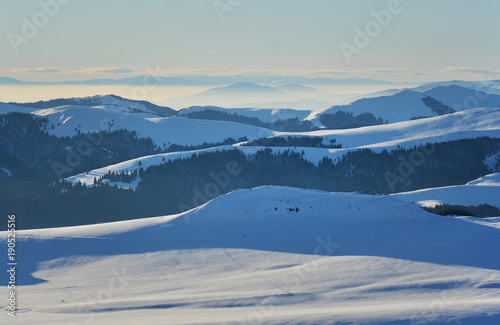 Fototapeta Naklejka Na Ścianę i Meble -  Beautiful winter view in Bucegi Mountains, Cota 2000, Sinaia, Romania