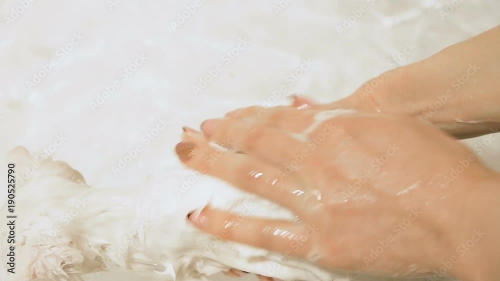 Woman washes small white kitten in bathroom Woman washes small white kitten in bathroom