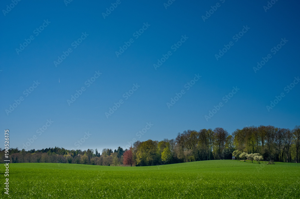 Fototapeta premium Horizont