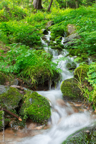 waterfall on a meadow