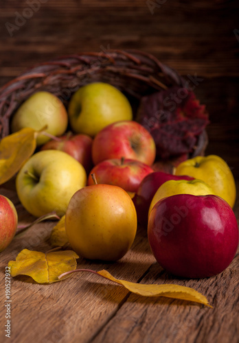 Apples in basket