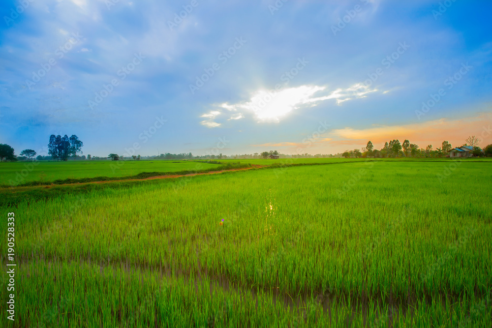 Field, Dawn, Dusk, Land, Meadow