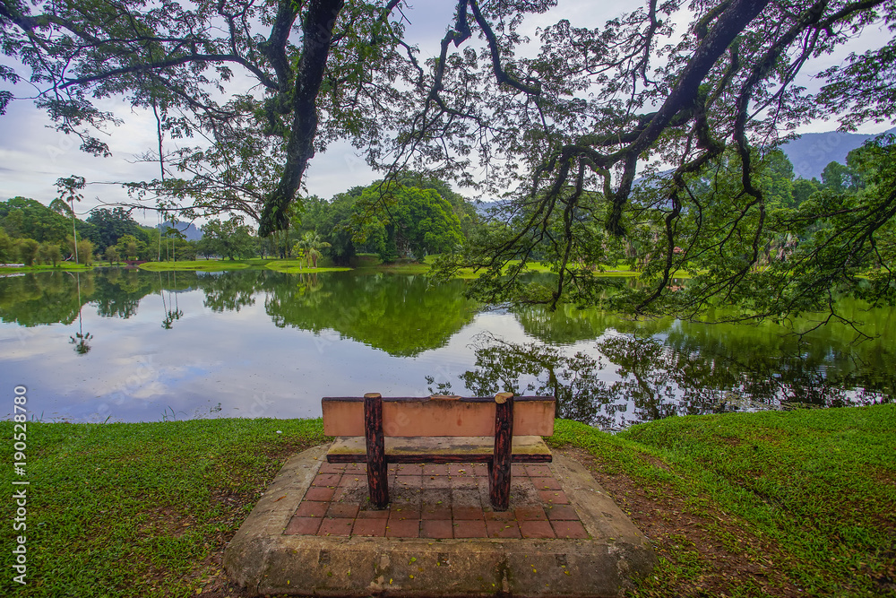 Lonely chair near lake and nature background.