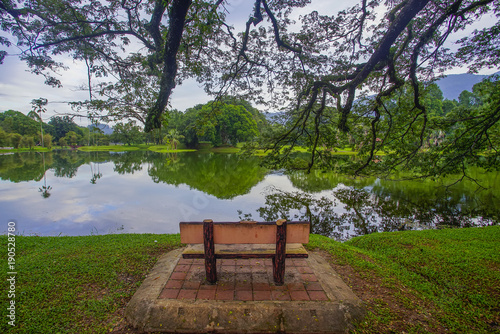 Lonely chair near lake and nature background.