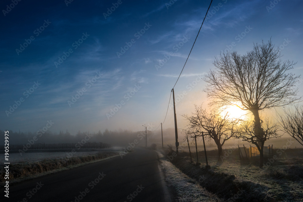 paesaggio rurale invernale al mattino presto 