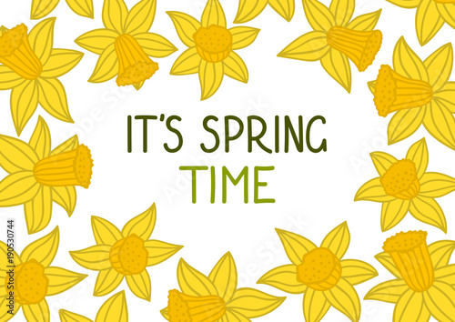 Fototapeta Naklejka Na Ścianę i Meble -  It's spring time. Hand drawn daffodils on white background. Vector illustration.