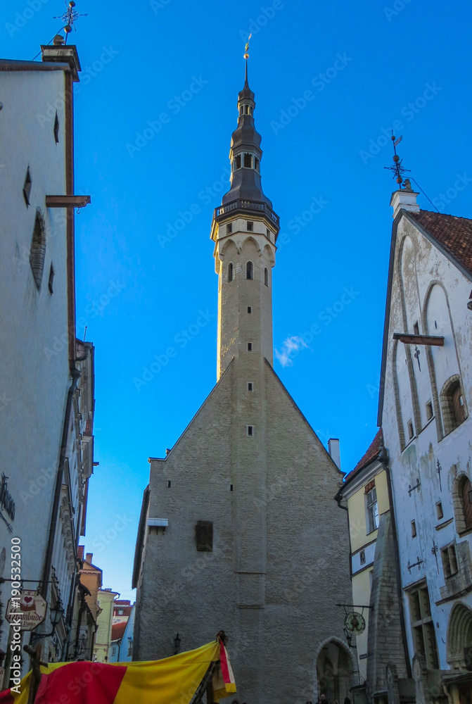 Fototapeta premium Panoramic view of Tallinn old town. Estonia, Europe.