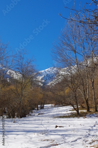 Wallpaper Mural Paysage de montagne en neige Torontodigital.ca