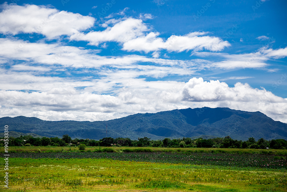 Quiet green meadow.