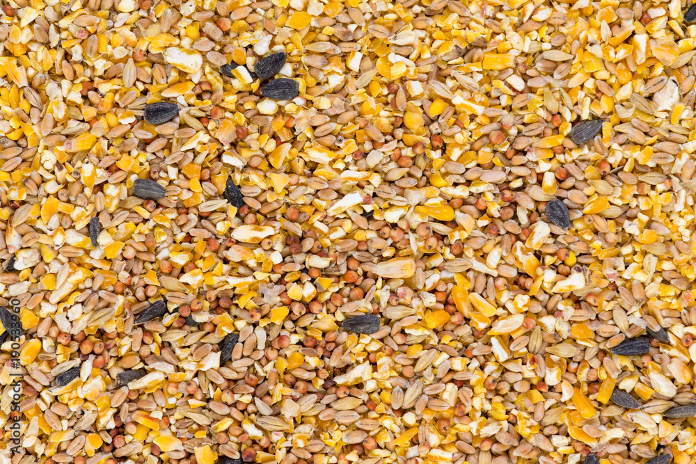 Background texture of crushed seed and grain mix for poultry Background texture of crushed seed and grain mix for poultry