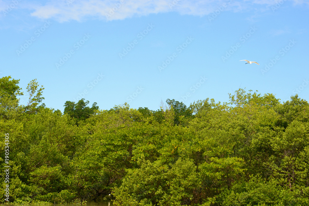 Obraz premium garça voando