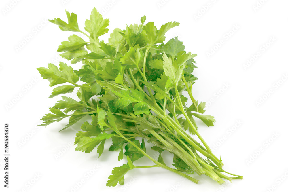 Fresh green parsley, parsley herb isolated on white background with clipping path. Fresh green parsley, parsley herb isolated on white background with clipping path.