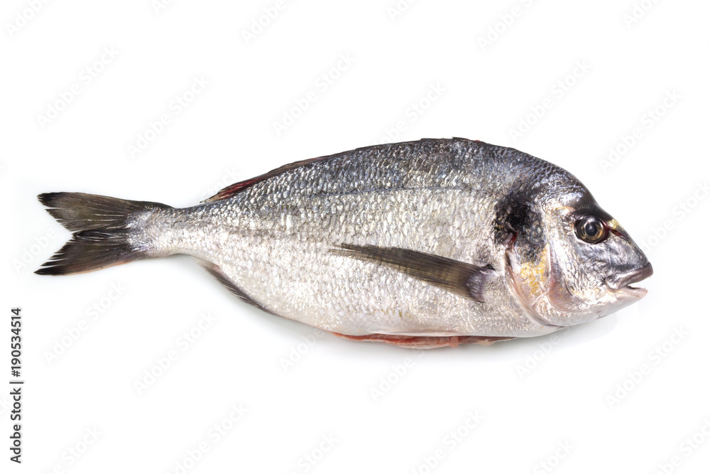 Fresh raw sea bream fish isolated on white background. Healthy food concept, with a clipping path top view. Fresh raw sea bream fish isolated on white background. Healthy food concept, with a clipping path top view.
