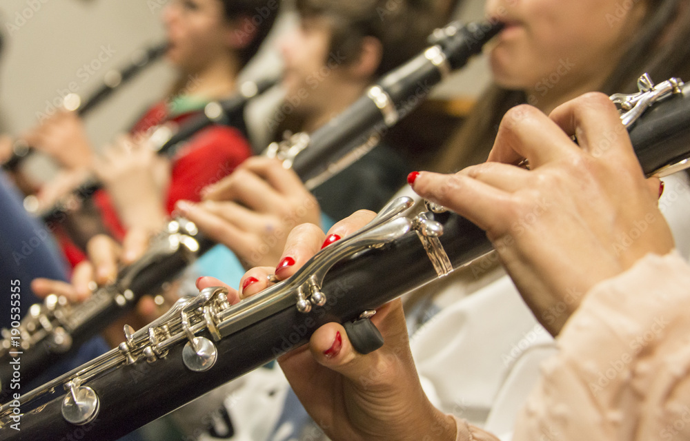 Fototapeta premium Concert of flutes