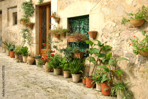 Potted plants at a house wall in Valldemossa, Majorca - 0526