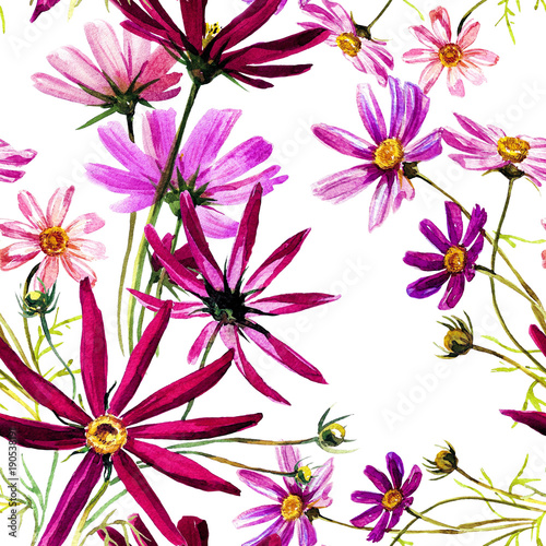 Fototapeta kolorowe kwiaty malowane akwarelami