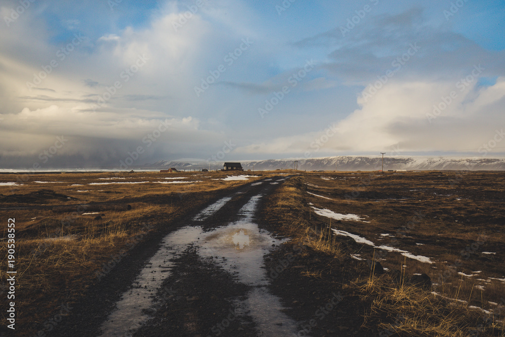 Icelandic nature in the winter