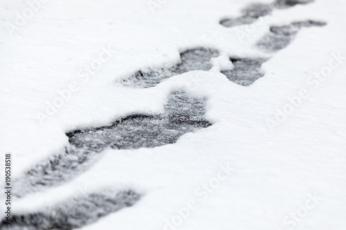 footprints in snow © Nicole Lienemann