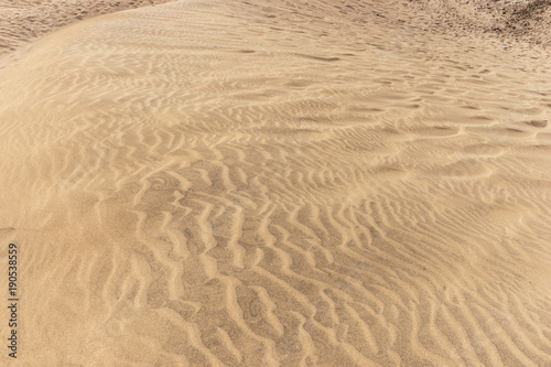 Brown sandy beach for background. Sand beach texture