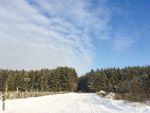 Fabulous Russian winter pine forest in the freezing weather © ShevarevAlex