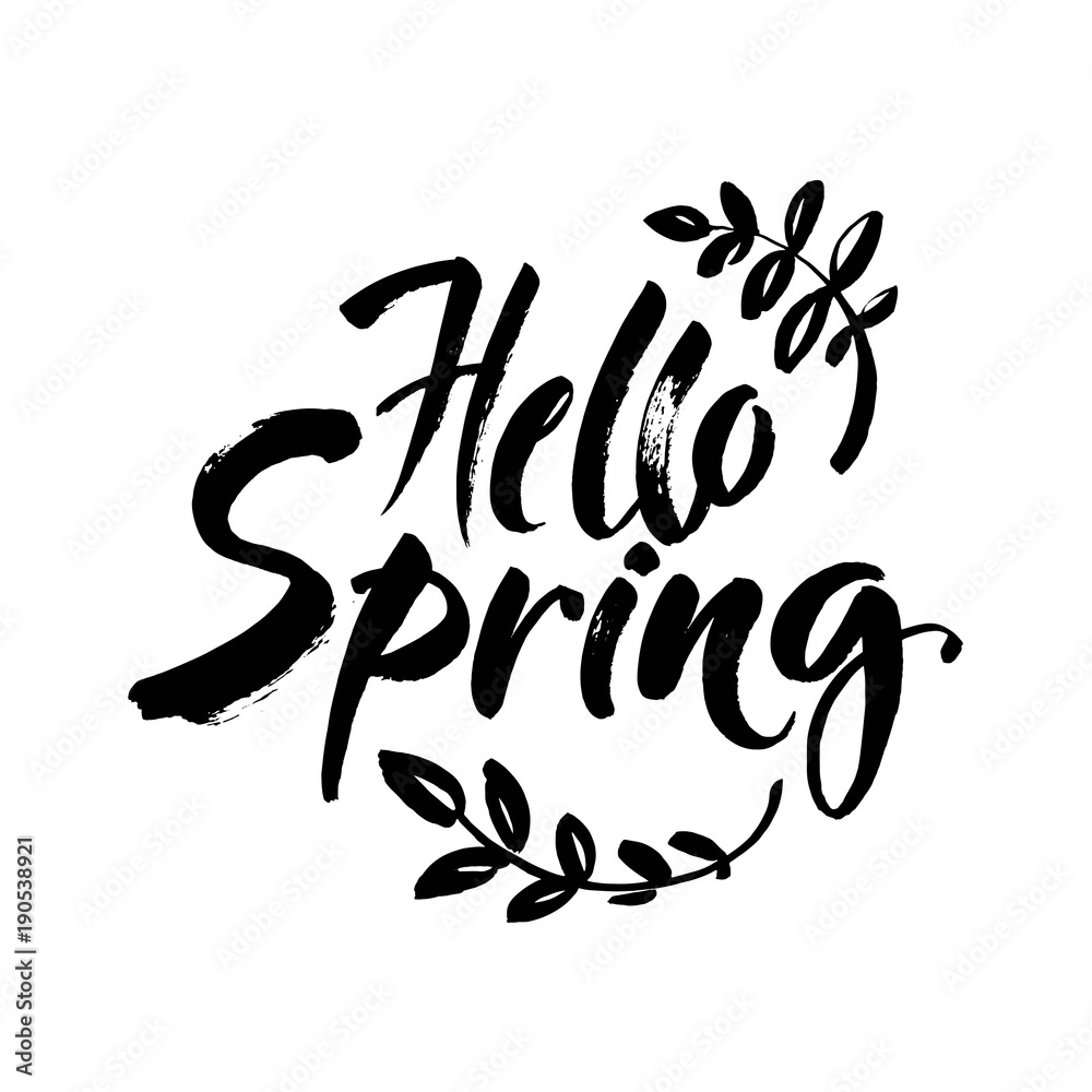 Phrase Hello spring Brush lettering isolated on background. Handwritten vector Illustration.