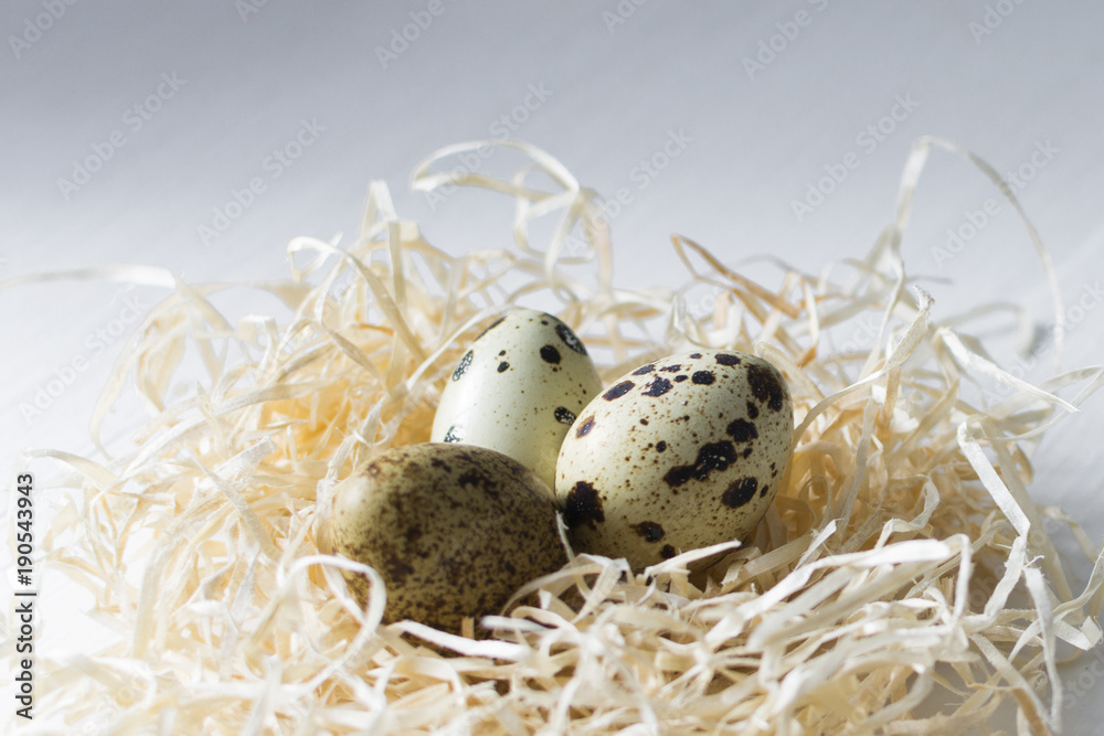Obraz premium Easter greeting card Quail eggs in hay nest on white wooden background.
