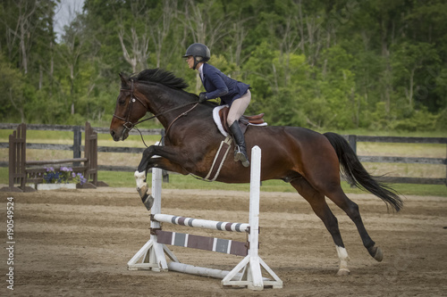 Woman and bay horse jump a plank vertical - side view