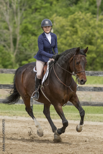 Bay horse and female rider at a canter