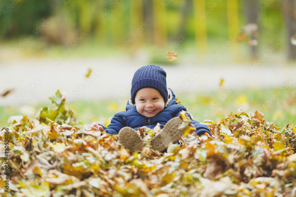 Φωτογραφία Little cute child baby boy walk in fall park, sitting in pile of leaves, toss throw up dry yellow autumn leaves