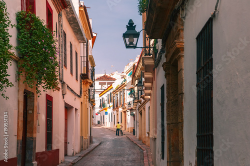Fototapeta Naklejka Na Ścianę i Meble -  The street of Cordoba in the sunny day, Cordoba, Andalusia, Spain