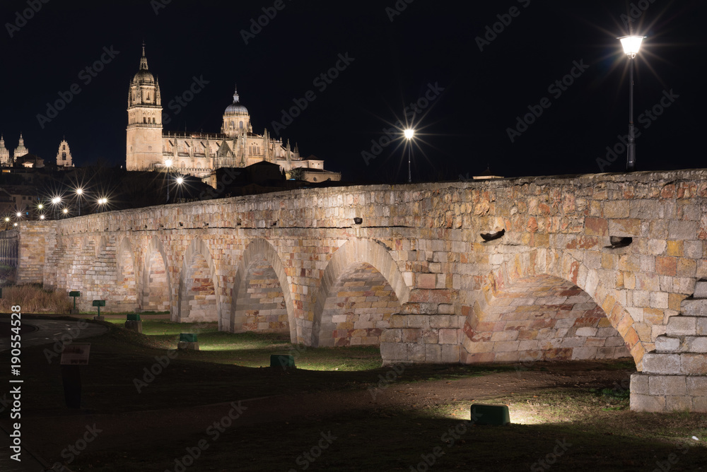 Night view of Salamanca cathedral and Roman bridge over Tormes river, Salamanca, Spain.