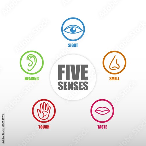 Five senses icon.
