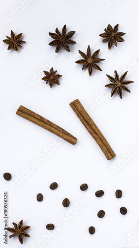 Fototapeta Naklejka Na Ścianę i Meble -  Spices: star anise and cinnamon sticks on white background. Close up.