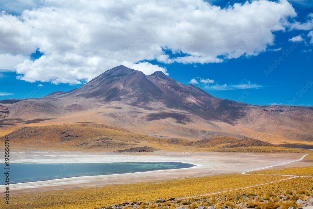 Atacama Altiplana desert, Laguna Miscanti salt lake and mountains landscape, Miniques, Chile, South America
