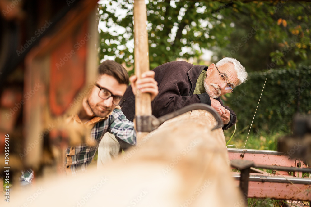 Father and son working and cutting wood Father and son working and cutting wood