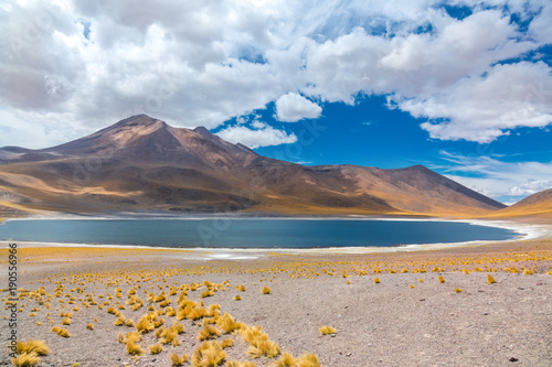 Atacama Altiplana desert, Laguna Miscanti salt lake and mountains landscape, Miniques, Chile, South America
 photo