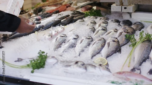 Shop keeper putting fish on display photo