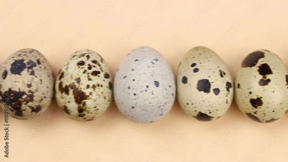 Quail easter eggs on pastel yellow surface in minimalism style close up. Quail easter eggs on pastel yellow surface in minimalism style close up.