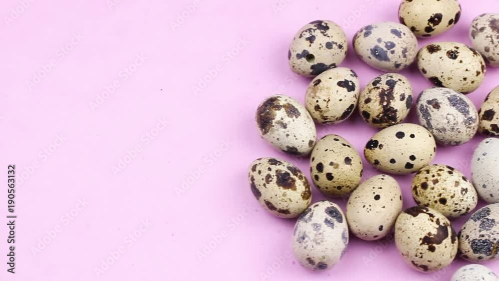 Quail easter eggs on purple violet pastel background close up. Quail easter eggs on purple violet pastel background close up.