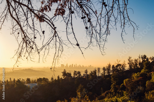 Los Angeles skyline at sunrise with trees in foreground  California