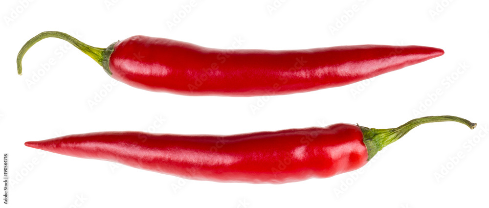 Healthy red hot chili peppers. Two spicy capsicums containing medicinal capsaicin. Isolated on a white background.