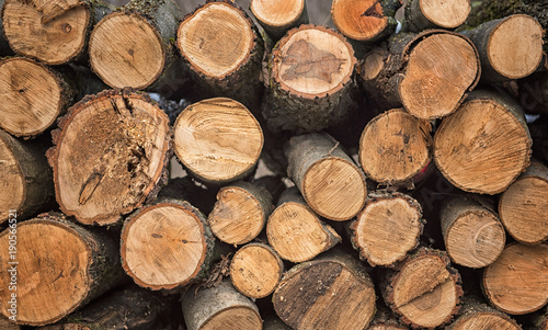 Dry chopped firewood logs i...