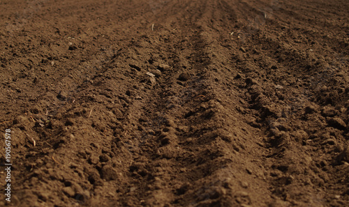 фотографія Ploughed field in spring prepared for sowing.