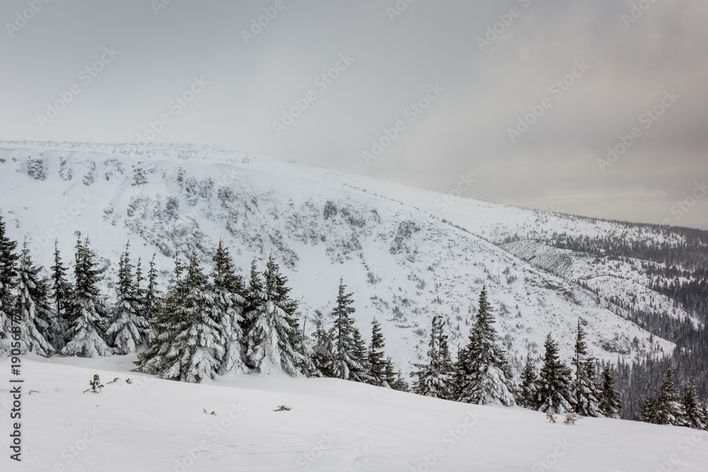 Winter landscape in Karkonosze mountain, Sudety, Poland